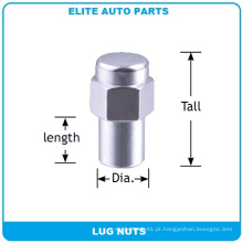 Mag Lug Nuts para carro